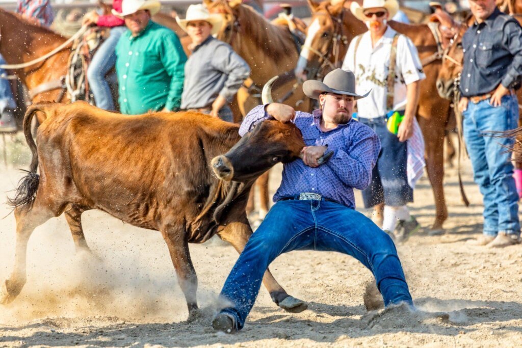 Types Of Jeans Materials And Manufacturing Process